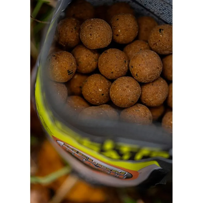 Pro Elite Baits Bouillette Boilies Natural Foods Melon & Peach * Appâts Carpe