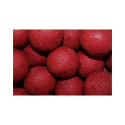 Pro Elite Baits Bouillette Boilies Classic Robin Red * Appâts Carpe