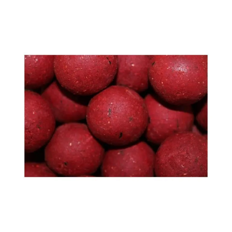 Pro Elite Baits Bouillette Boilies Classic Robin Red * Appâts Carpe