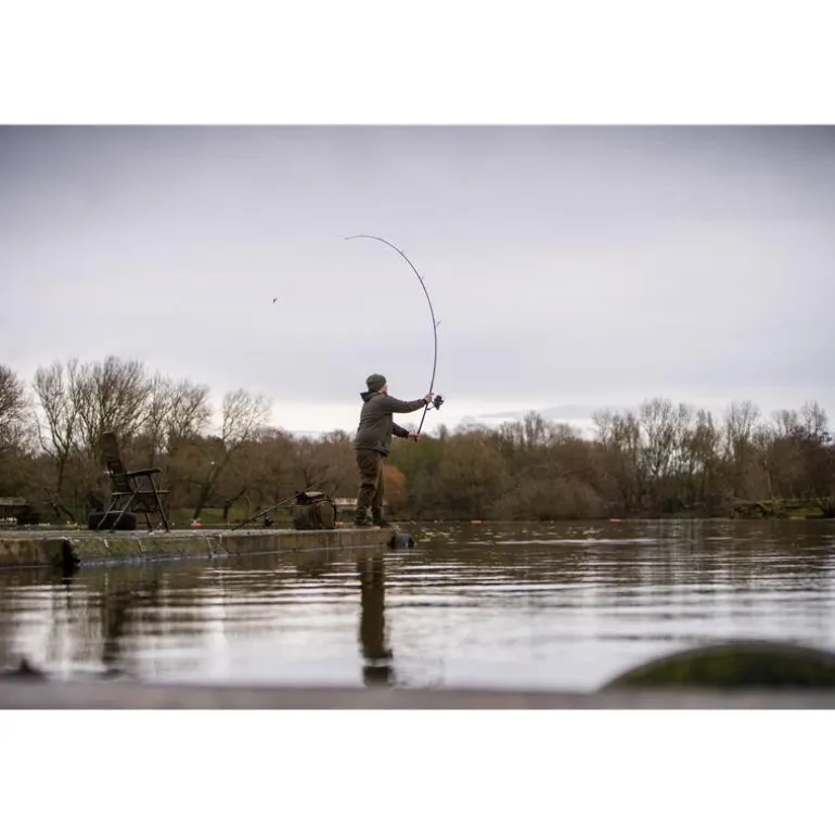 Canne Carpe Avid Carp React Rods