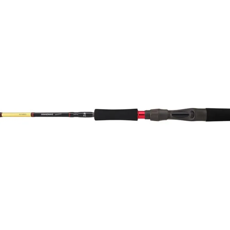 Canne Casting Daiwa Grandwave