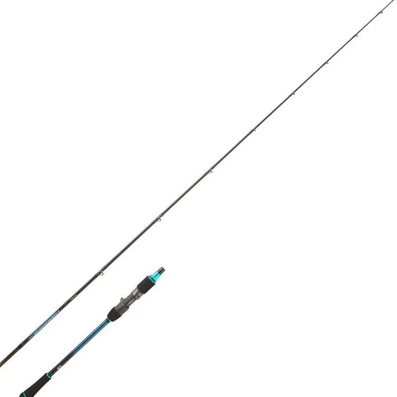 Daiwa Canne Casting Harrier Jigging * Cannes Mer