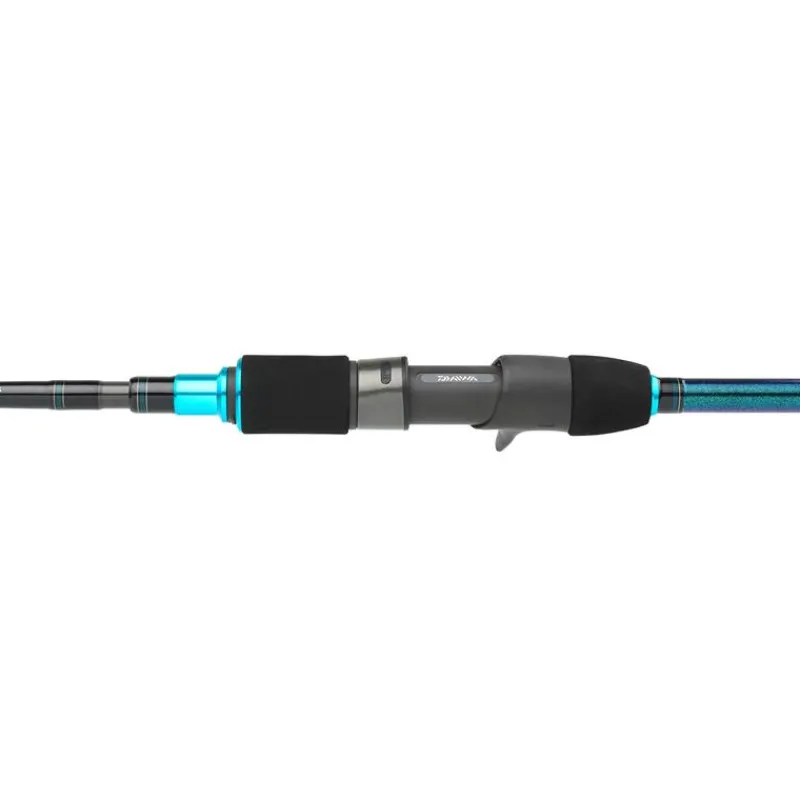 Daiwa Canne Casting Harrier Jigging * Cannes Mer