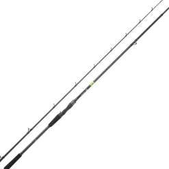 Daiwa Canne Casting Prorex E 2022 * Cannes Carnassier