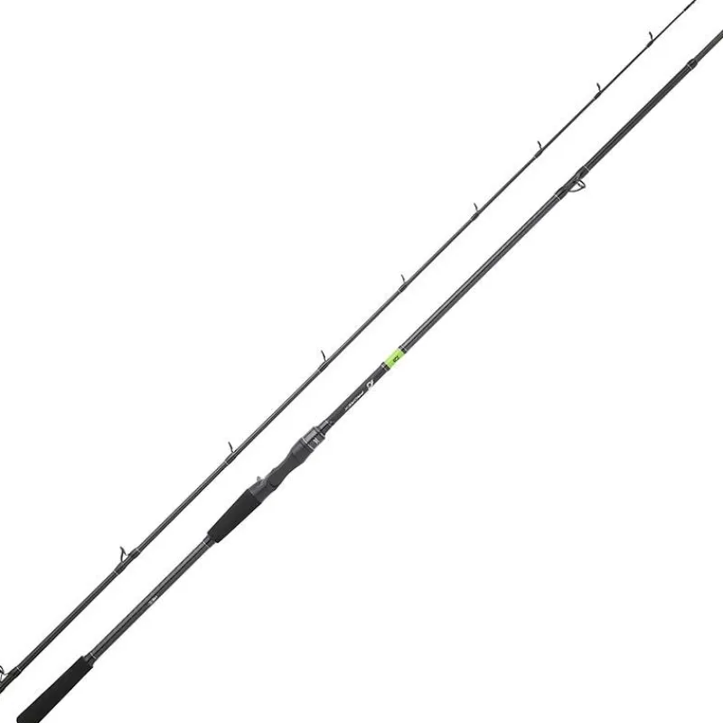 Daiwa Canne Casting Prorex E 2022 * Cannes Carnassier