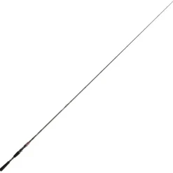 Daiwa Canne Casting Steez Ags Casting * Cannes Carnassier