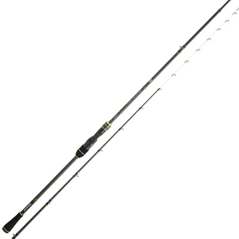 Daiwa Canne Casting Team Tenya * Cannes Mer