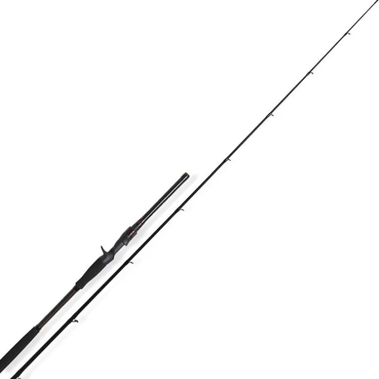 Canne Casting Scratch Tackle Inclusive Cast 1+1