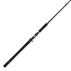 Tailwalk Canne Casting Jigforce Ssd C603 * Cannes Mer