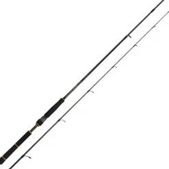 Daiwa Canne Black Gold Seabass * Cannes Mer