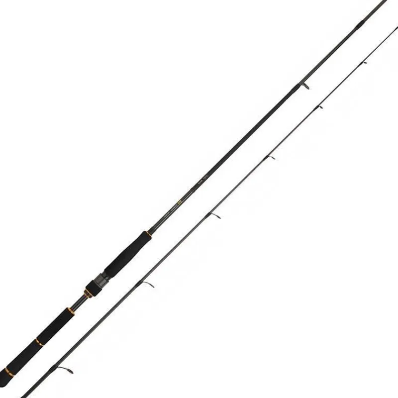 Daiwa Canne Black Gold Seabass * Cannes Mer