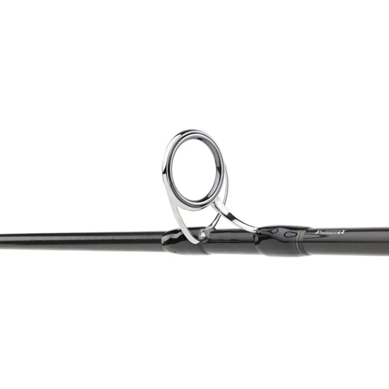 Daiwa Canne Saltiga * Cannes Mer