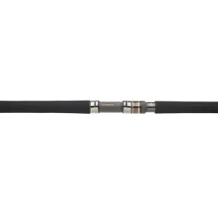 Daiwa Canne Saltiga * Cannes Mer