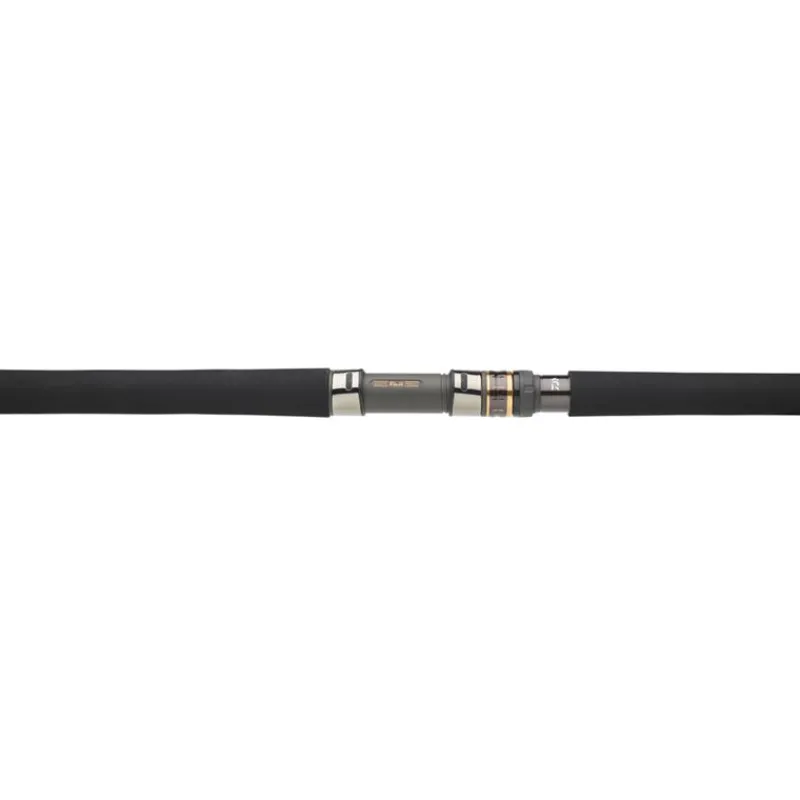 Daiwa Canne Saltiga * Cannes Mer