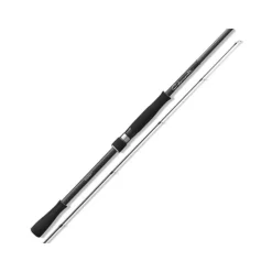 GraphiteLeader Canne Eging Calamaretti Spinning * Cannes Mer