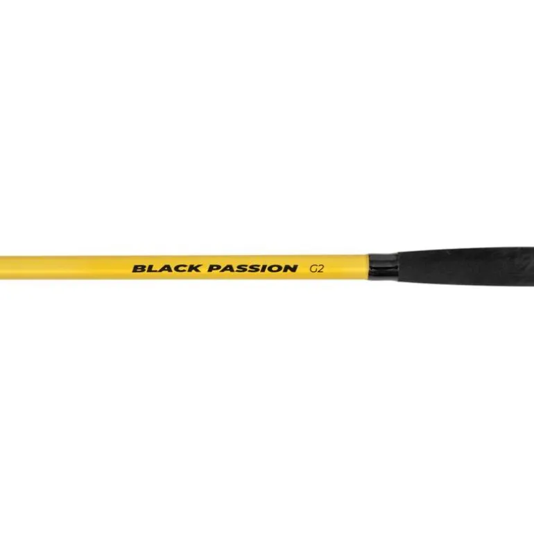 Canne Spinning Black Cat Black Passion G2 Long Ranger
