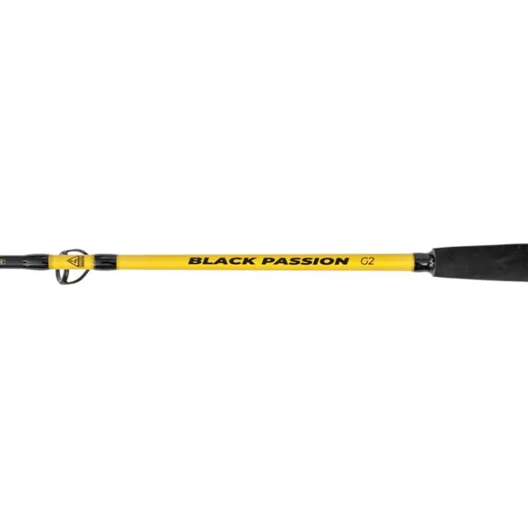 Canne Spinning Black Cat Black Passion G2 Vertical