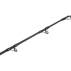 Canne Spinning Black Cat Black Passion G2 Vertical