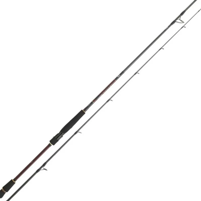Daiwa Canne Spinning Infeet Seabass * Cannes Mer