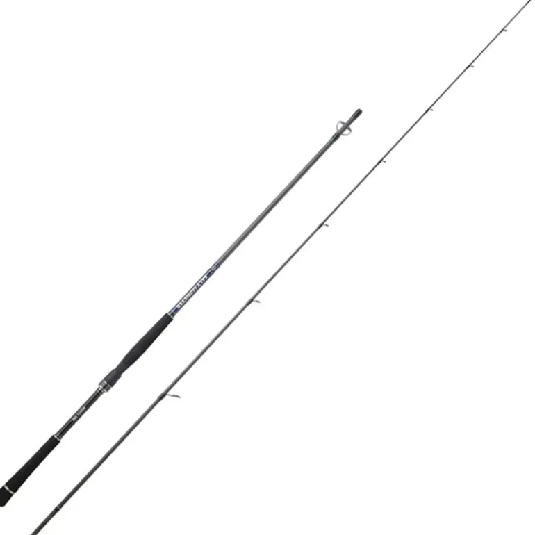Canne Spinning Hearty Rise Salt Monster Sw