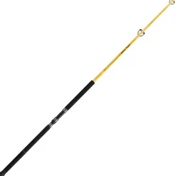 Illex Canne Spinning Element Rider X5 S 240 H Yellow Fight * Cannes Mer