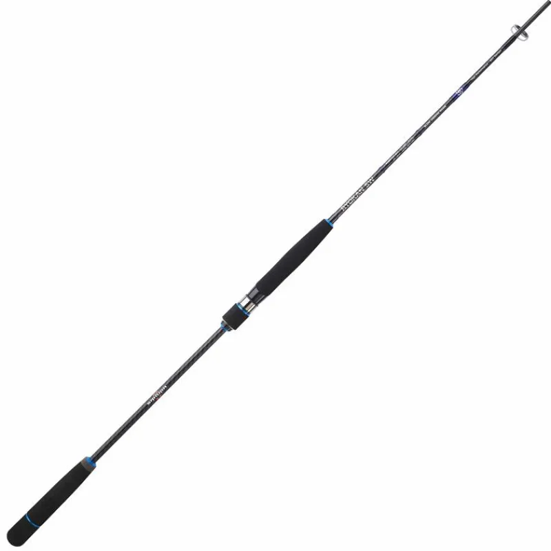 Sakura Canne Spinning Ryokan Sw Slow Jig * Cannes Mer
