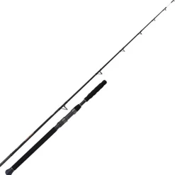 Canne Spinning Shimano Beastmaster Catfish Vertical