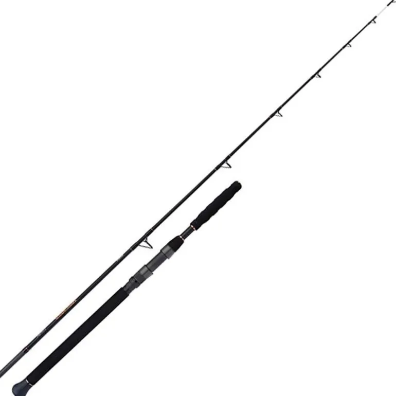 Canne Spinning Shimano Beastmaster Catfish Vertical