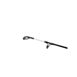 Canne Spinning Shimano Beastmaster Ax Catfish Multi