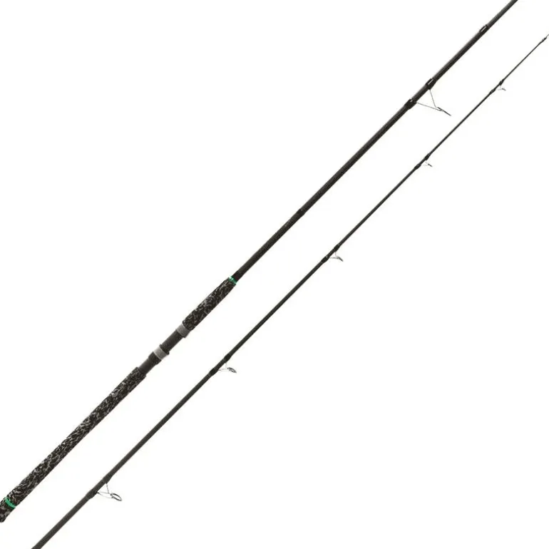 Canne Spinning Silure Zeck Buddy