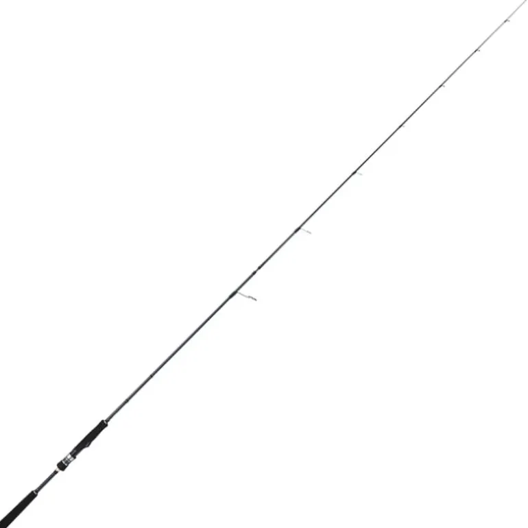 Canne Spinning Tailwalk Boatgamer Ssd S73m