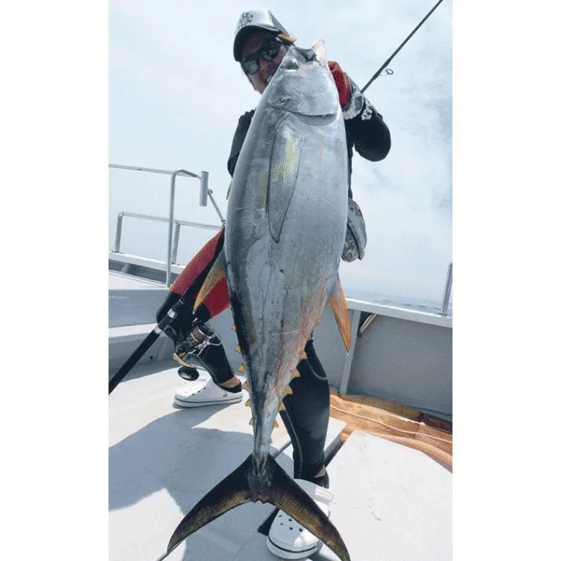 Tailwalk Canne Spinning Kuroshio Oc 80H * Cannes Mer