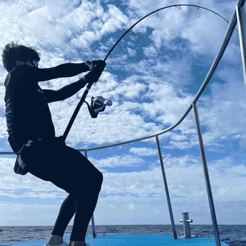 Tailwalk Canne Spinning Sprint Stick Ssd 70M * Cannes Mer