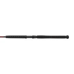 Ugly Stik Canne Spinning Silurus Vertical * Cannes Silure