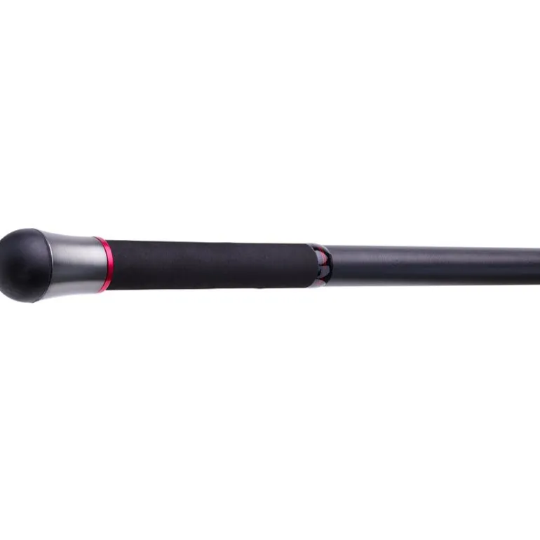 Canne Surf Téléescopique Daiwa Emblem Surf Type R
