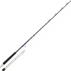 Daiwa Canne Traine Saltiga Trolling * Cannes Mer