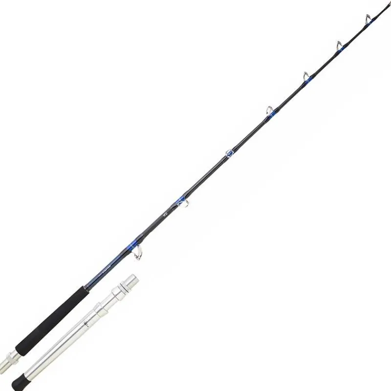 Daiwa Canne Traine Saltiga Trolling * Cannes Mer