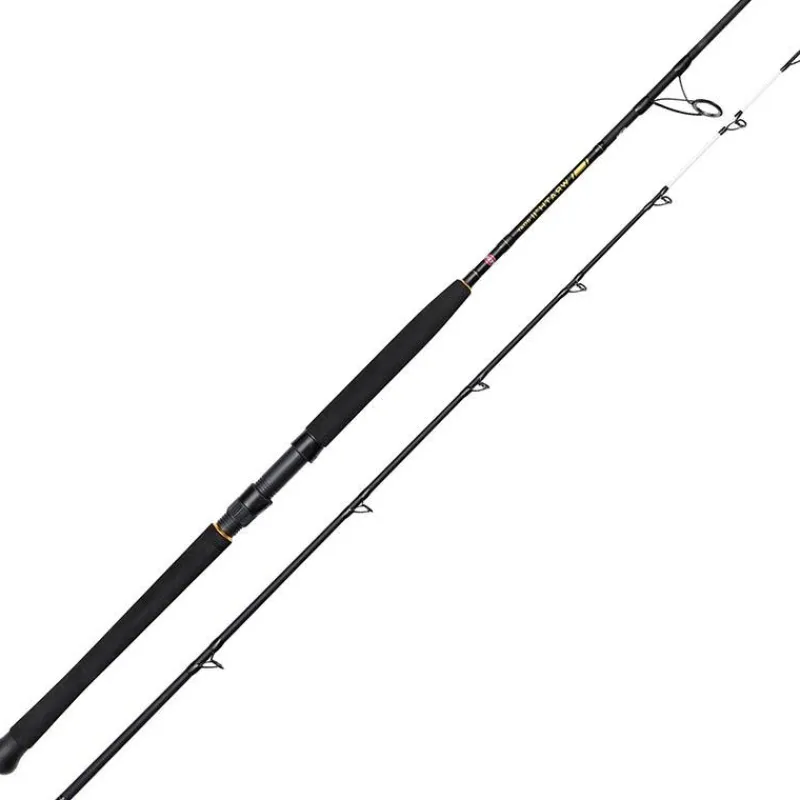 Penn Canne Traine Wrath Ii Boat Spinning Rod * Cannes Mer