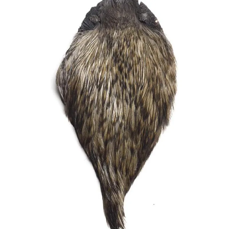 Devaux Cou De Coq Dvx Top Grade Teint * Fly Tying