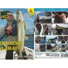 Vidéotel Dvd - Gros Brochets Au Jerk-Bait (2 Dvd) Avec Alban Choinier - Peche Des Carnassiers - Video Peche * Cadeaux & Décoration|Cadeaux & Décoration