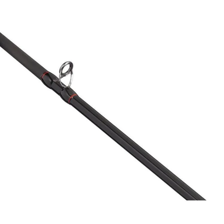 Ensemble Casting Abu Garcia Max Lp Pike Combo