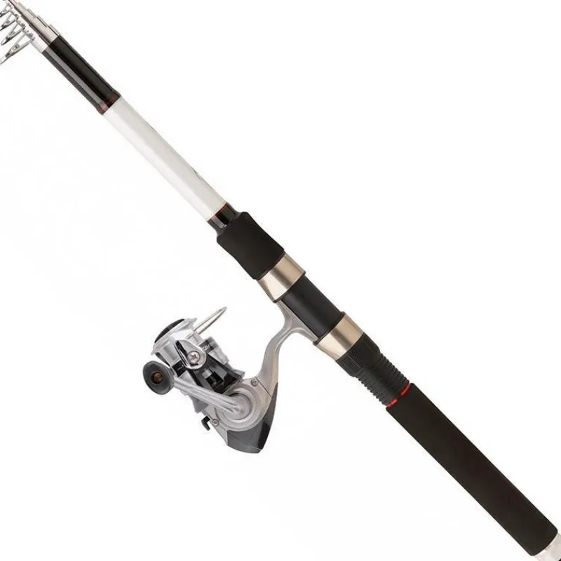 Daiwa Ensemble Spinning Set Tele Lancer * Ensembles Carnassier