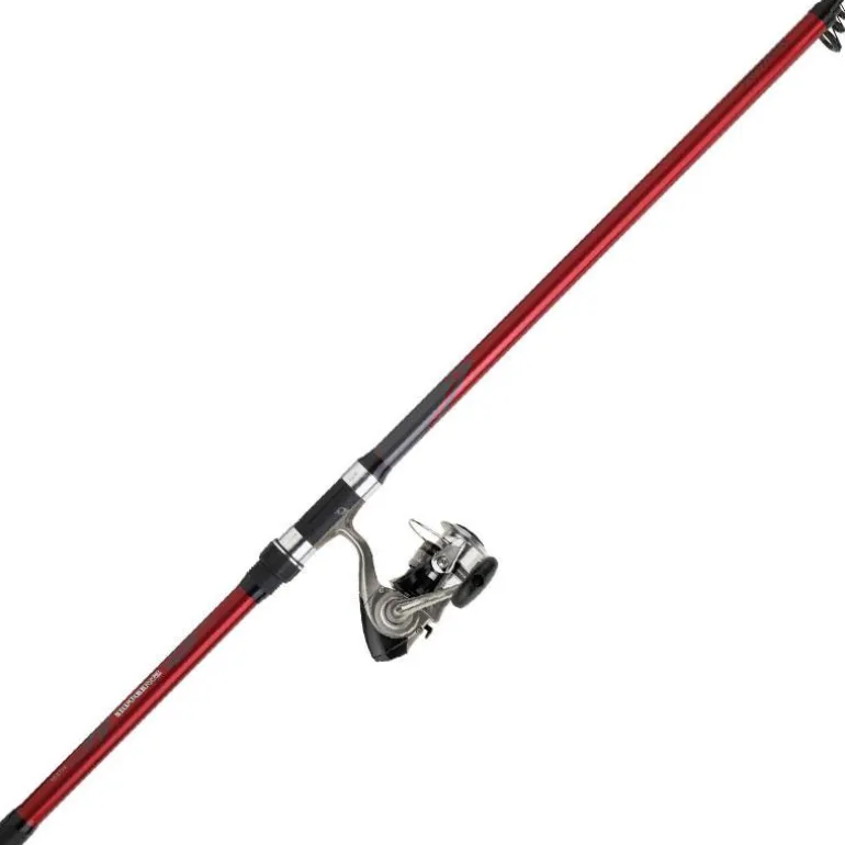 Ensemble Truite Telescopique Daiwa Trucha