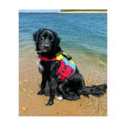 Gilet Sauvetage Spinlock Pour Chien Fido