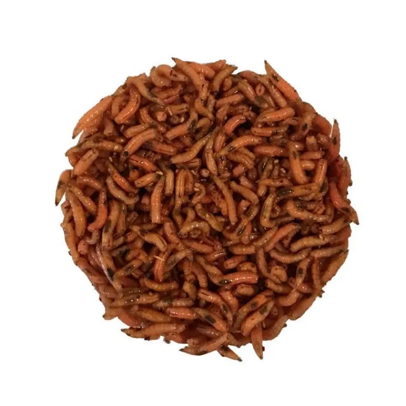 Pecheur.com Gozzers Bronze * Appâts - Amorces