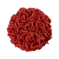 Gozzers Rubis