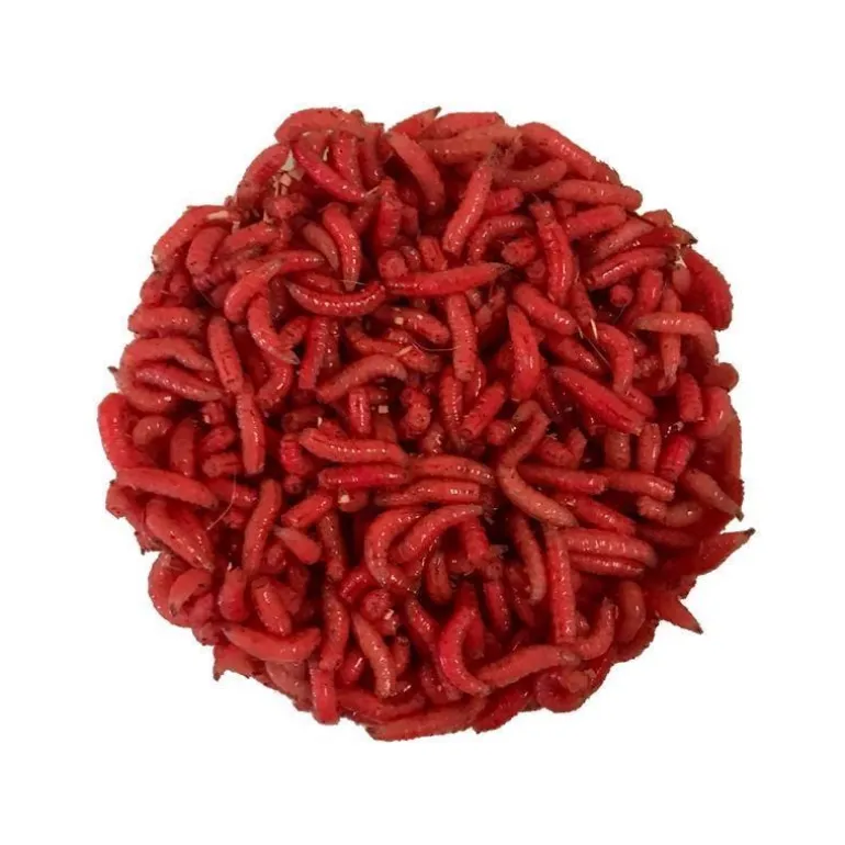 Gozzers Rubis