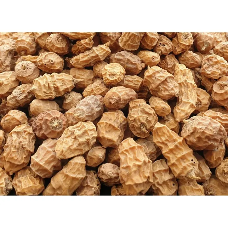 Poseidon Particles Graine Tigernuts Xxl * Appâts - Amorces|Appâts Carpe