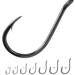 Hamecon Simple Vmc Chinu Specimen 7139