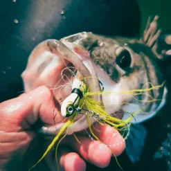 Spro Jig Bucktail Jig Crazy * Leurres Mer